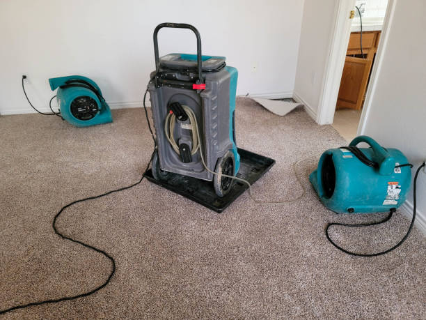 Best Carpet water damage restoration  in Mcfarland, CA