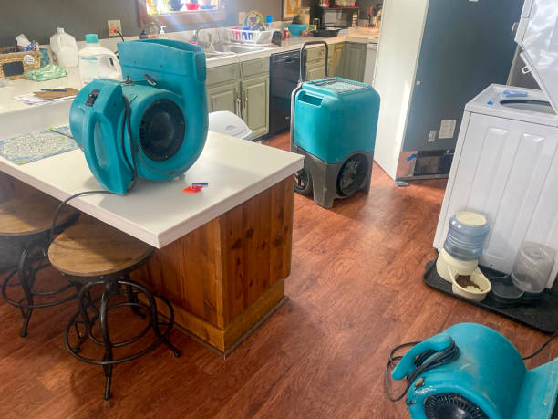 Best Sewage cleanup and water damage restoration  in Mcfarland, CA