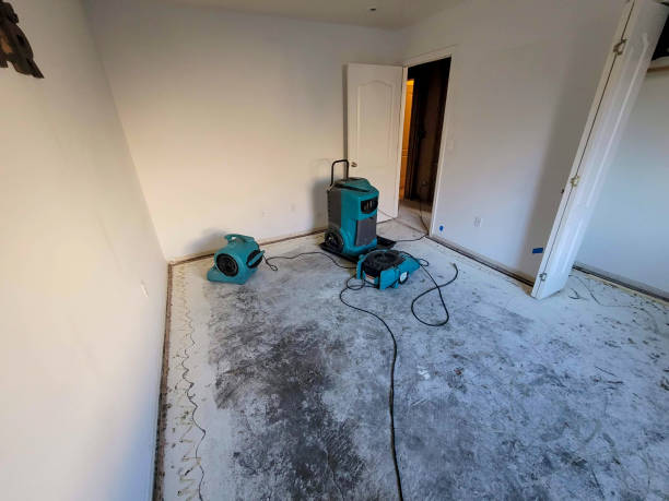 Best Water damage restoration mold remediation  in Mcfarland, CA