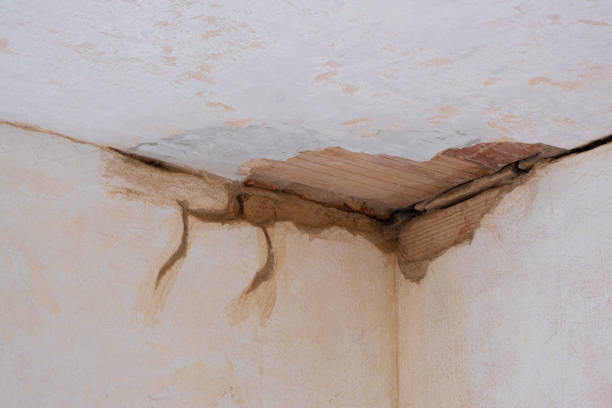 Best Ceiling water damage repair  in Mcfarland, CA