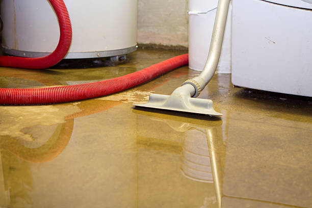 Best Water damage cleanup near me  in Mcfarland, CA
