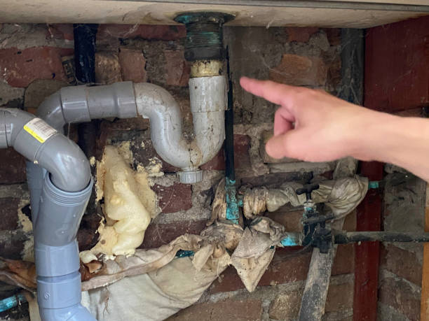 Best Flood damage cleanup  in Mcfarland, CA
